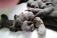 20170222_103128_edit