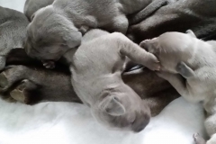 20170222_103205_edit